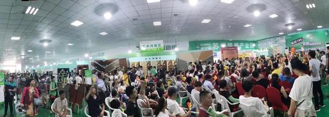 兔寶寶環保行7月29日蘇州站 綠色裝飾，感恩回饋